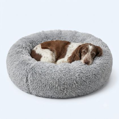 A dog curled up against the raised rim of the bed