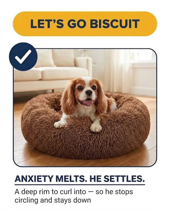 A dog settled in the Dog Bed, with a deep rim to curl into